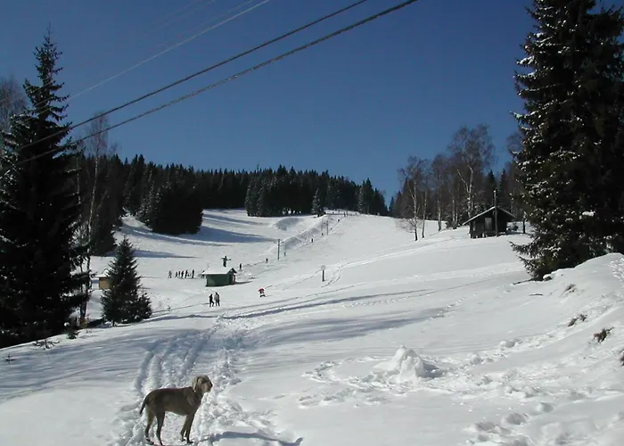 Helena 샬레 Nové Hamry